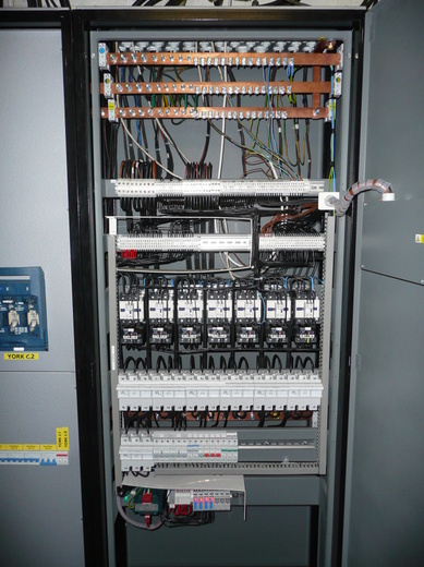 P1000173.JPG