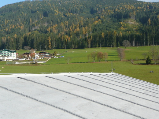 P1000363.JPG