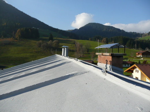 P1000371.JPG