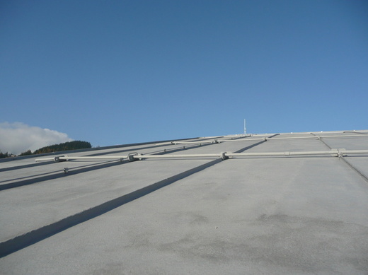 P1000376.JPG